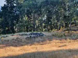 Terreni e lotti in vendita a Losar de la Vera, imagen 20