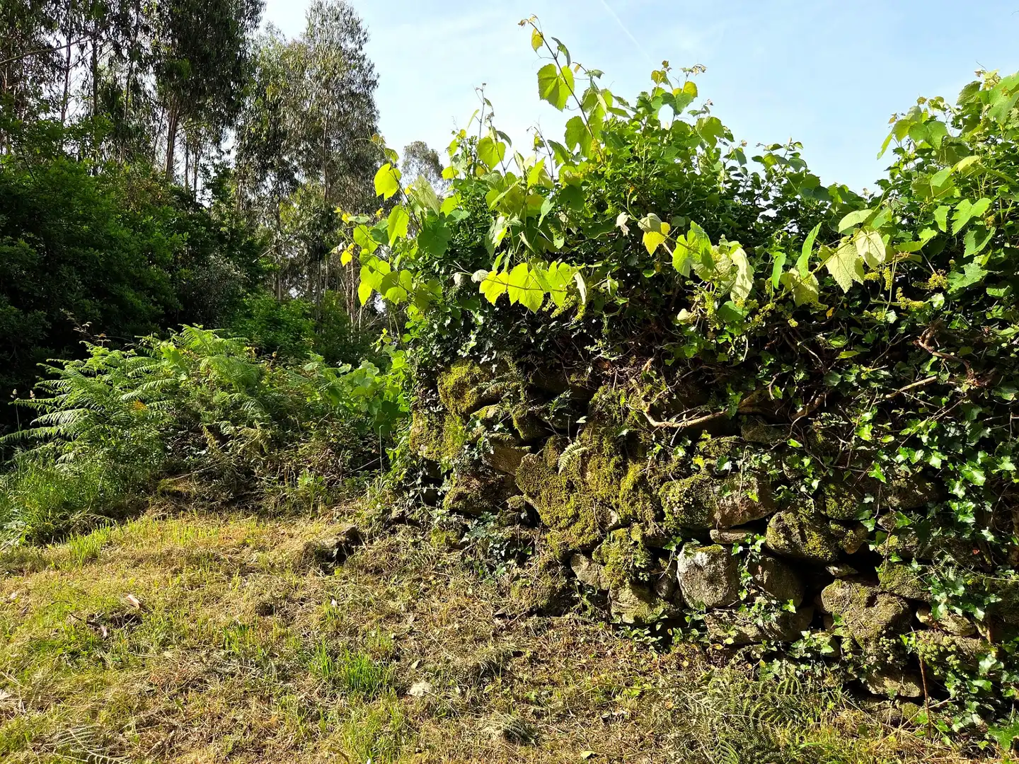 Finca rústica en venta en Meis con Jardín privado y Terraza