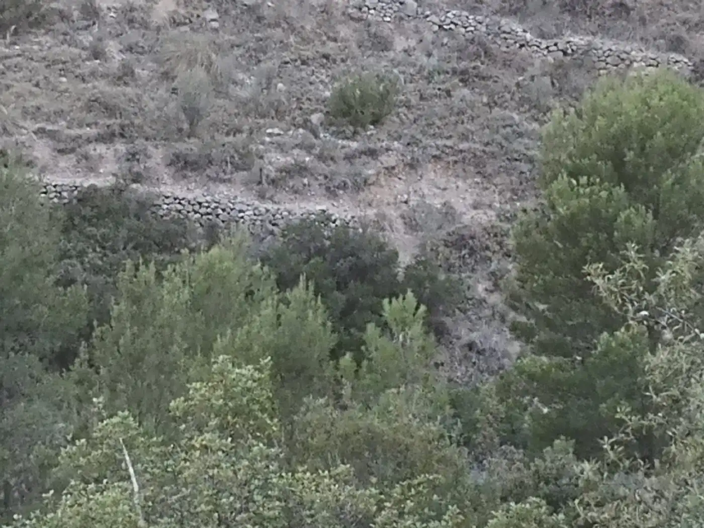 Terreny rústic en venda a Partida raco de seva, imagen 7
