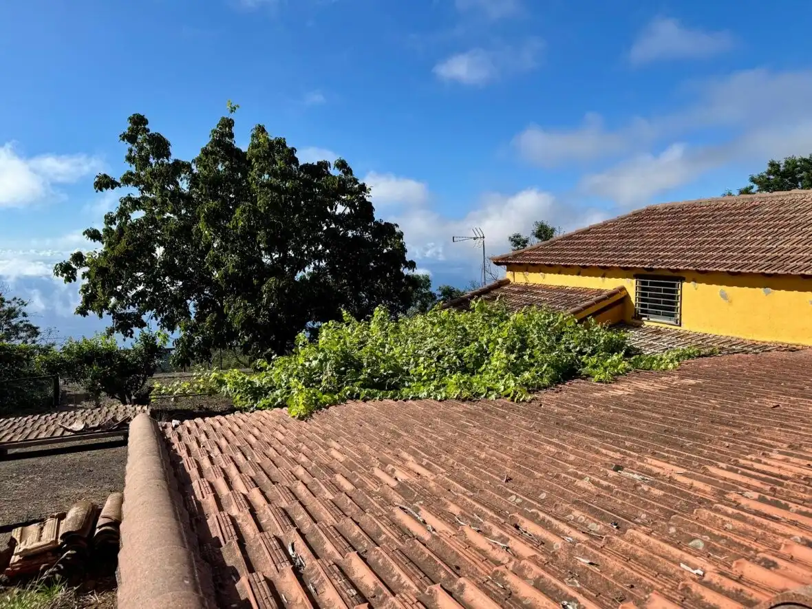 Außenansicht von Country house zum Verkauf in La Matanza de Acentejo mit Terrasse