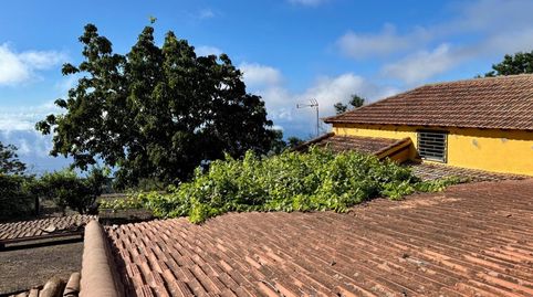 Foto 4 de Finca rústica en venda a La Matanza de Acentejo, Santa Cruz de Tenerife