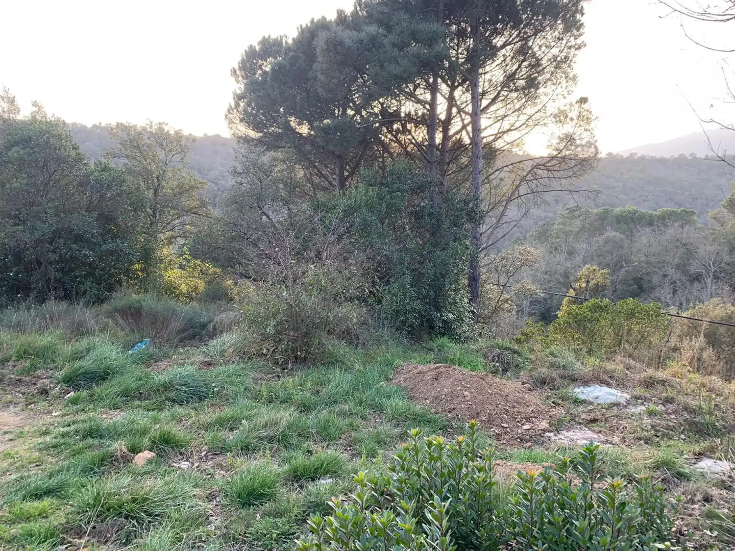 Terreny residencial en venda a Riells i Viabrea, imagen 3