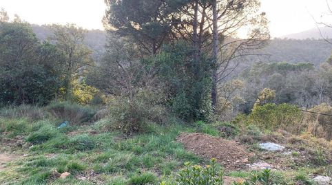 PARCELA CON FANTÁSTICAS VISTAS AL MONTSENY EN VENTA A RIELLS I VIABREA., imatge 3