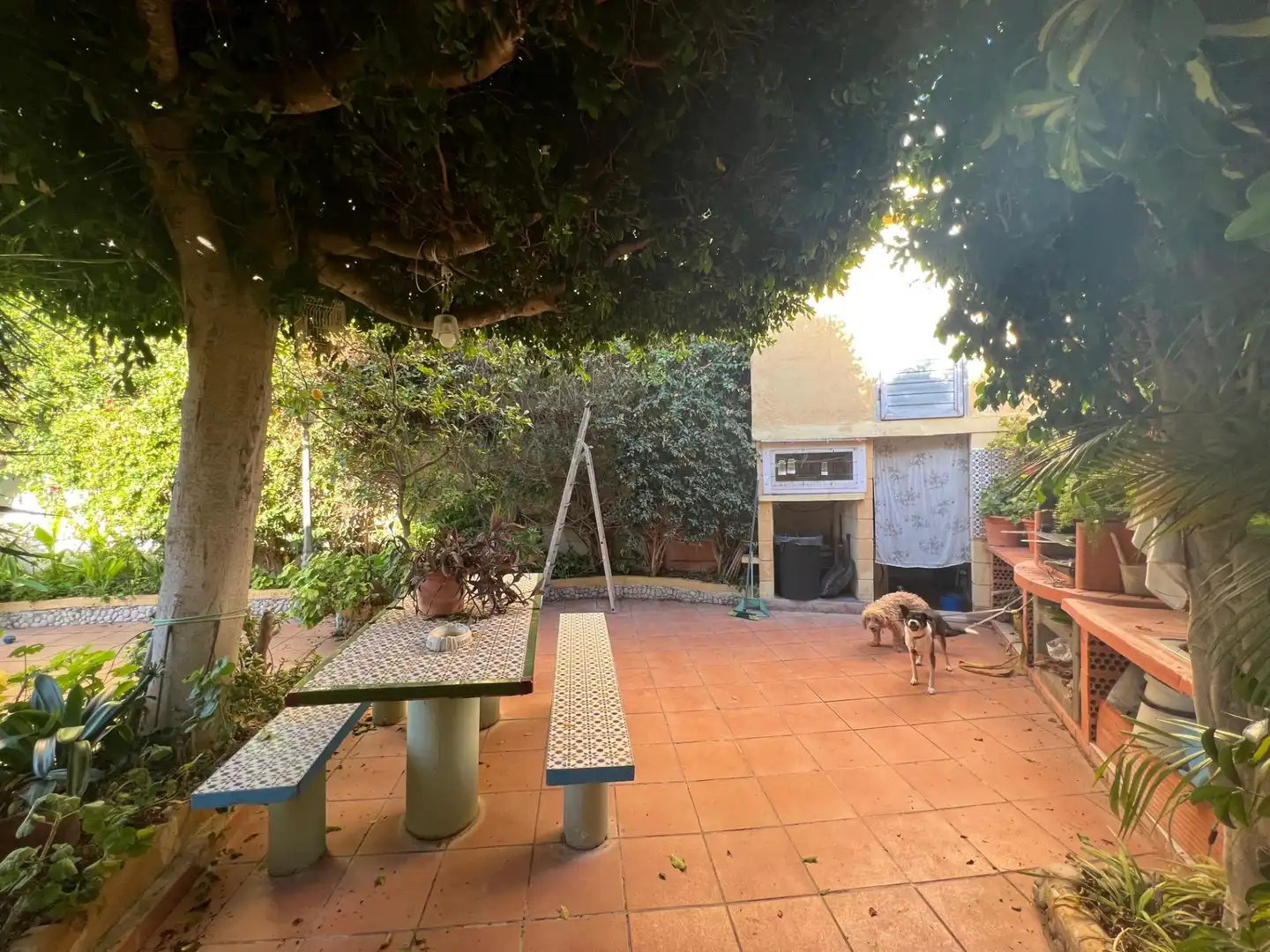 Villa mit Garten zum Verkauf in Coloma, imagen 19
