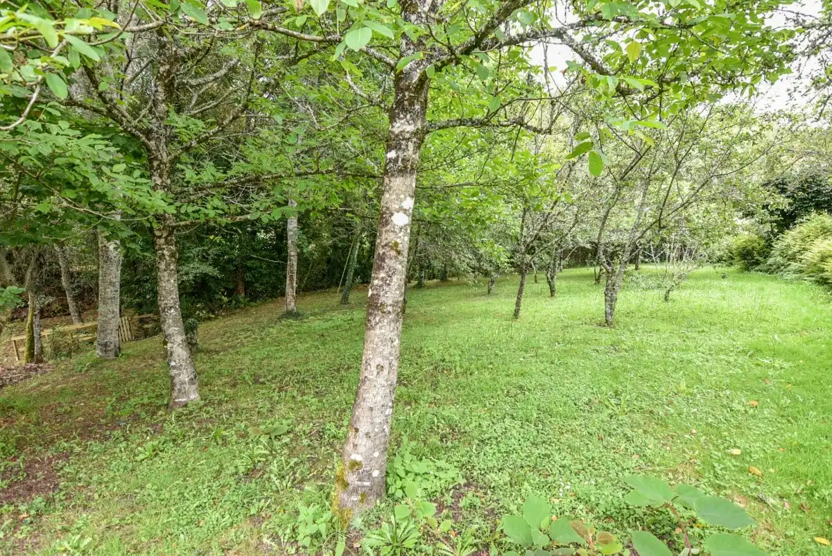 Casa o xalet en venda en Mondariz amb Jardí privat, Terrassa i Traster
