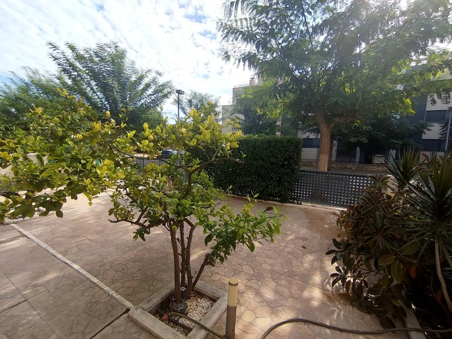 Apartament amb piscina de lloguer a Calle GENERALITAT, imagen 22