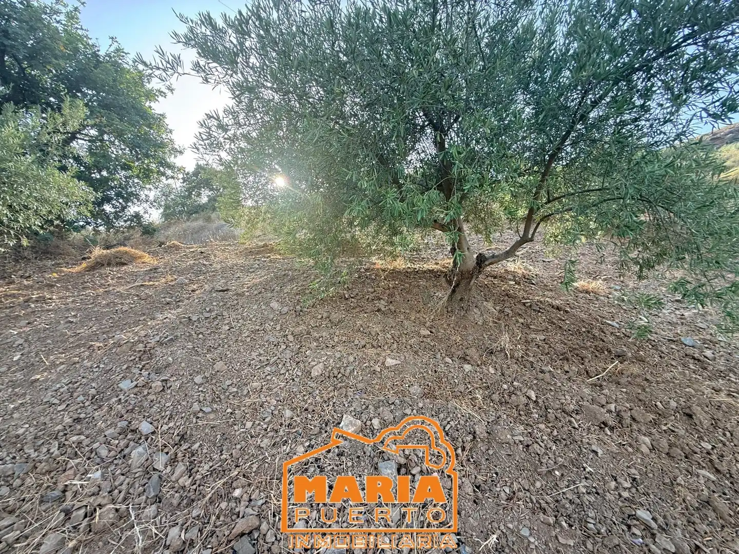 Terreno rustico in vendita a Almogía, imagen 32