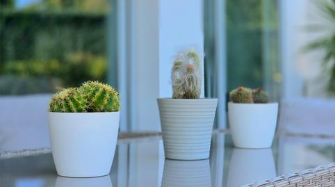 Foto 5 de Planta baixa en venda a Calle de Aguilar, 34, El Pinillo, Torremolinos