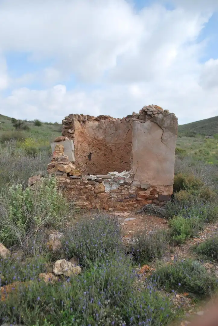 Lands and plots for sale in Diputación de Vizcaino, imagen 51