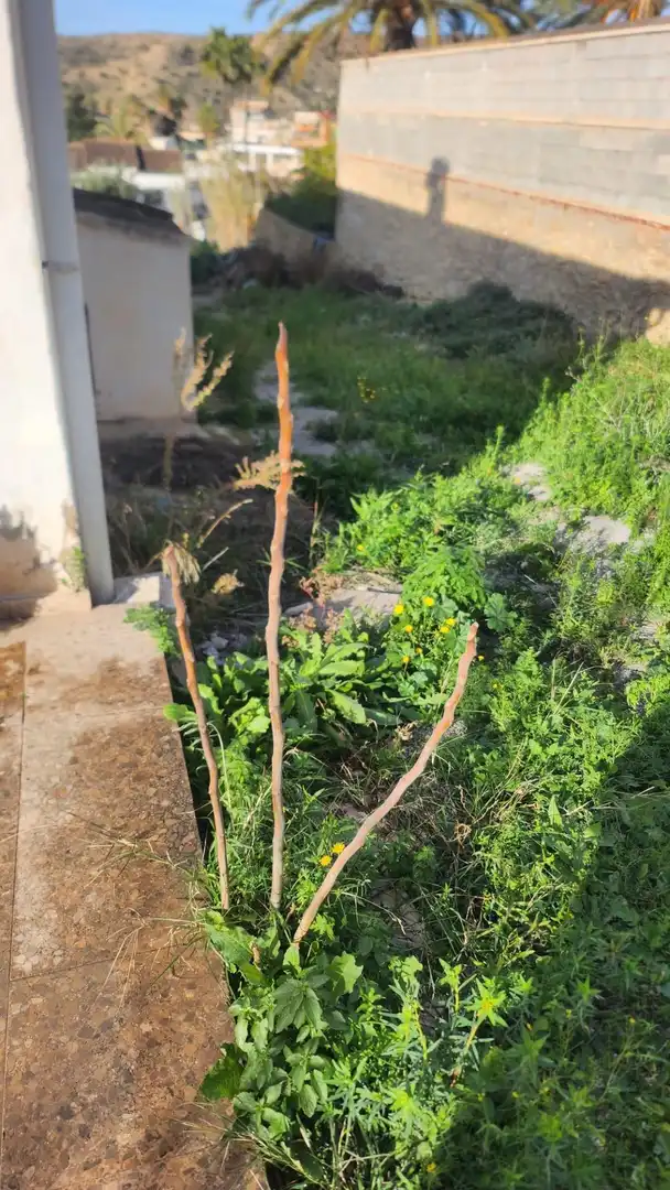Houses for sale in Aspe  with Private garden, Terrace and Storage room