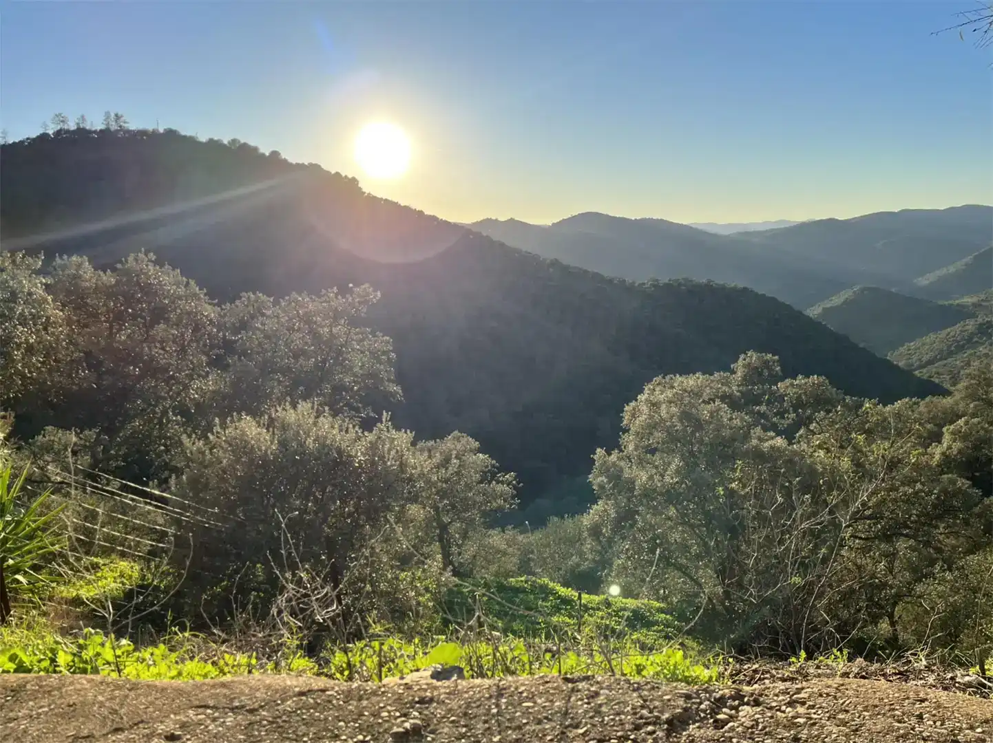 Vista exterior de Finca rústica en venda en Pozoblanco amb Jardí privat, Piscina i Balcó