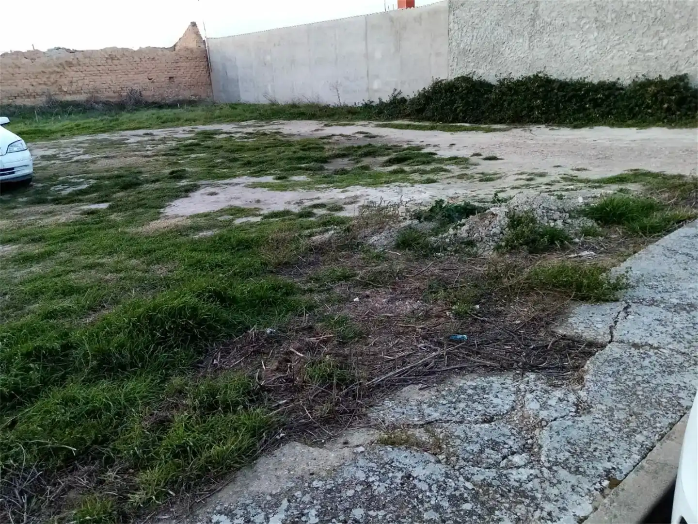 Land for sale in Olivares de Duero