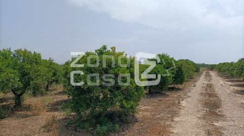 Foto 4 de Finca rústica en venda a Pol. 6 Parc., Fortaleny, Valencia