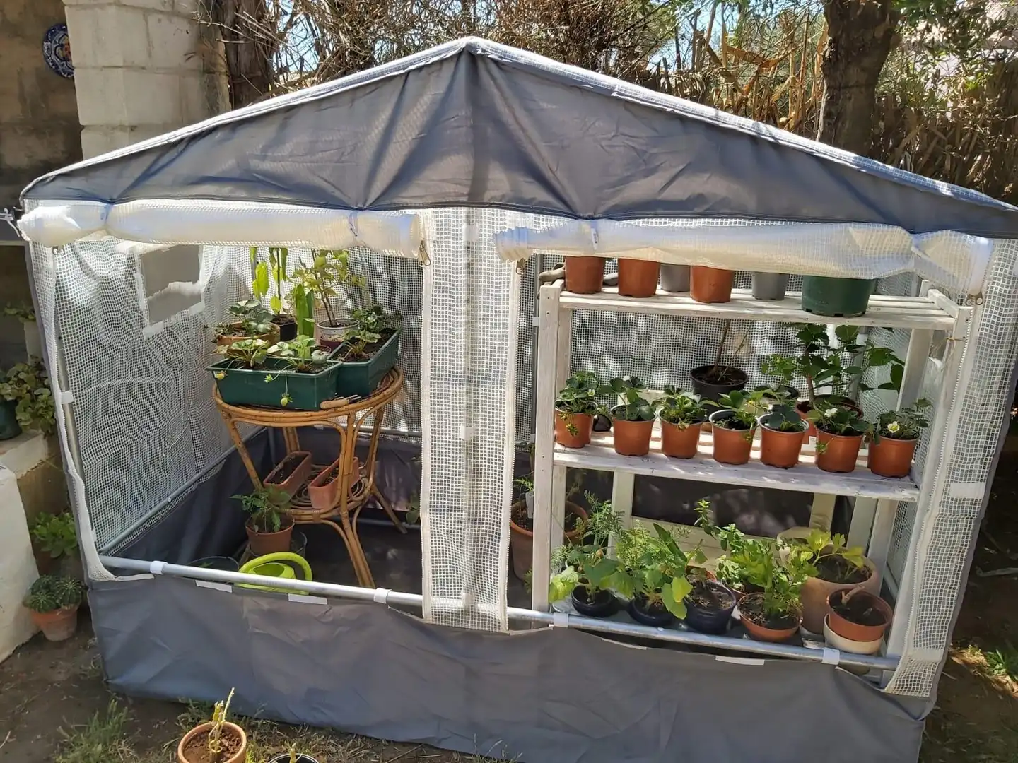 Jardí de Casa o xalet en venda en Puerto Real amb Jardí privat, Piscina i Alarma
