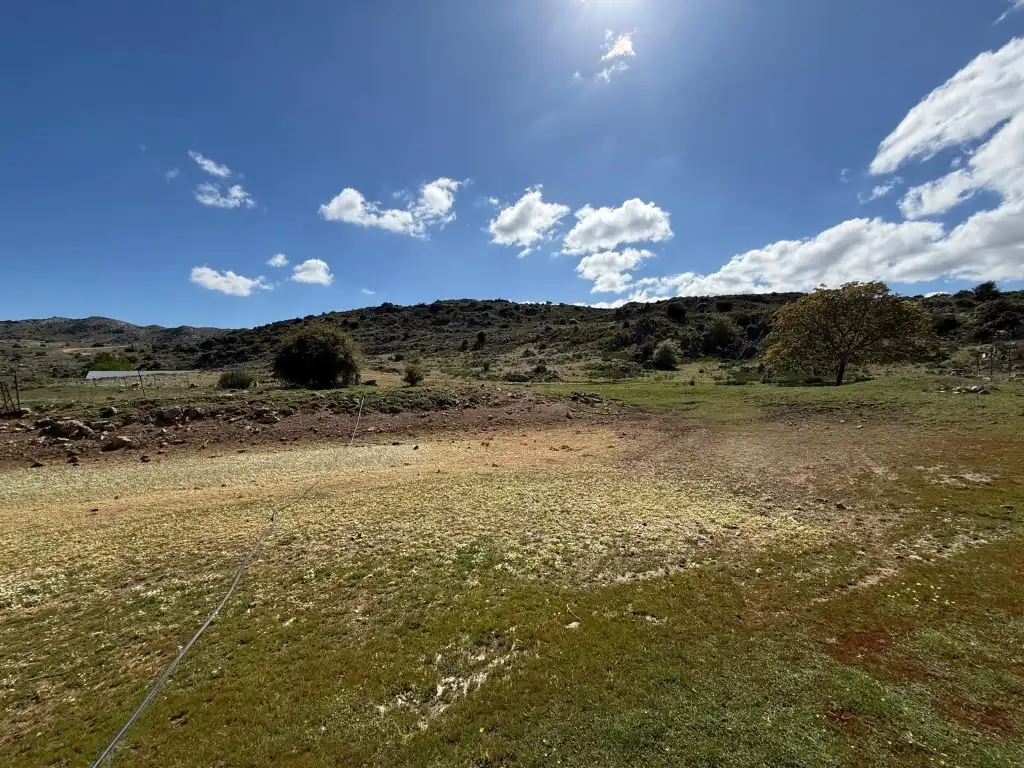 House for sale in Poligono 9 Paraje 81 Charquillo, imagen 38