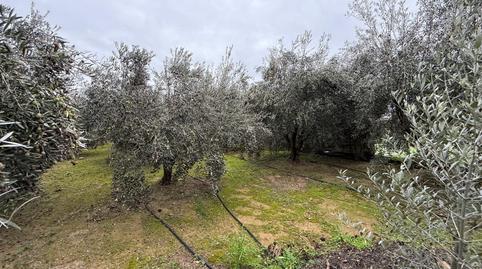Foto 4 de Finca rústica en venda a Carrer Mirador, 15, Torres de Segre, Lleida