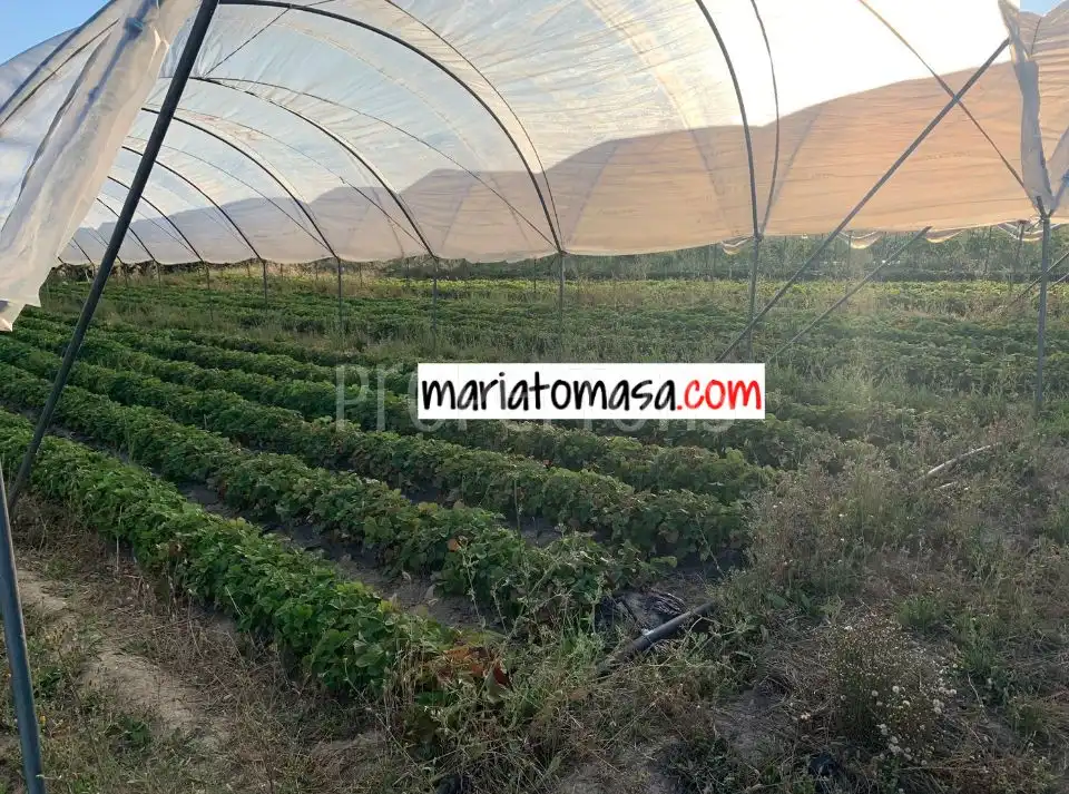 Lands and plots for sale in Zona rural noroeste, imagen 6