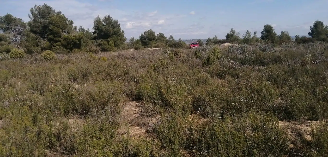 Terreno rústico en venta en Avinguda Terra Alta, imagen 4