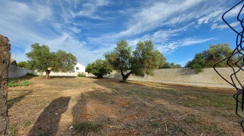 Photo 5 of Residential for sale in Urbanizacion del Casquero, 43, Arco Norte - Avda. España, Dos Hermanas