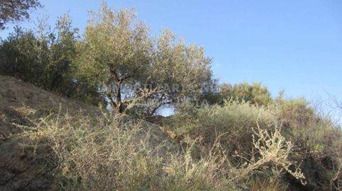 Finca rustica en venta en Canjáyar, immagine 4