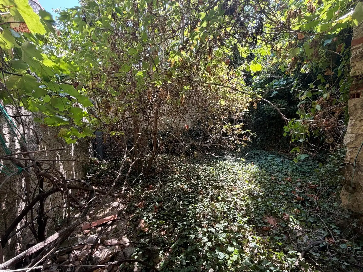 Casa o chalet en venta en Cabezuela