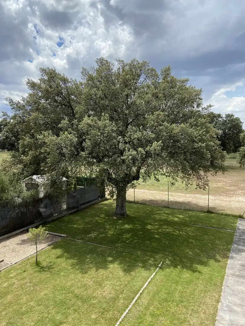 Xalet amb jardí en venda a Calle Venus 13, imagen 26