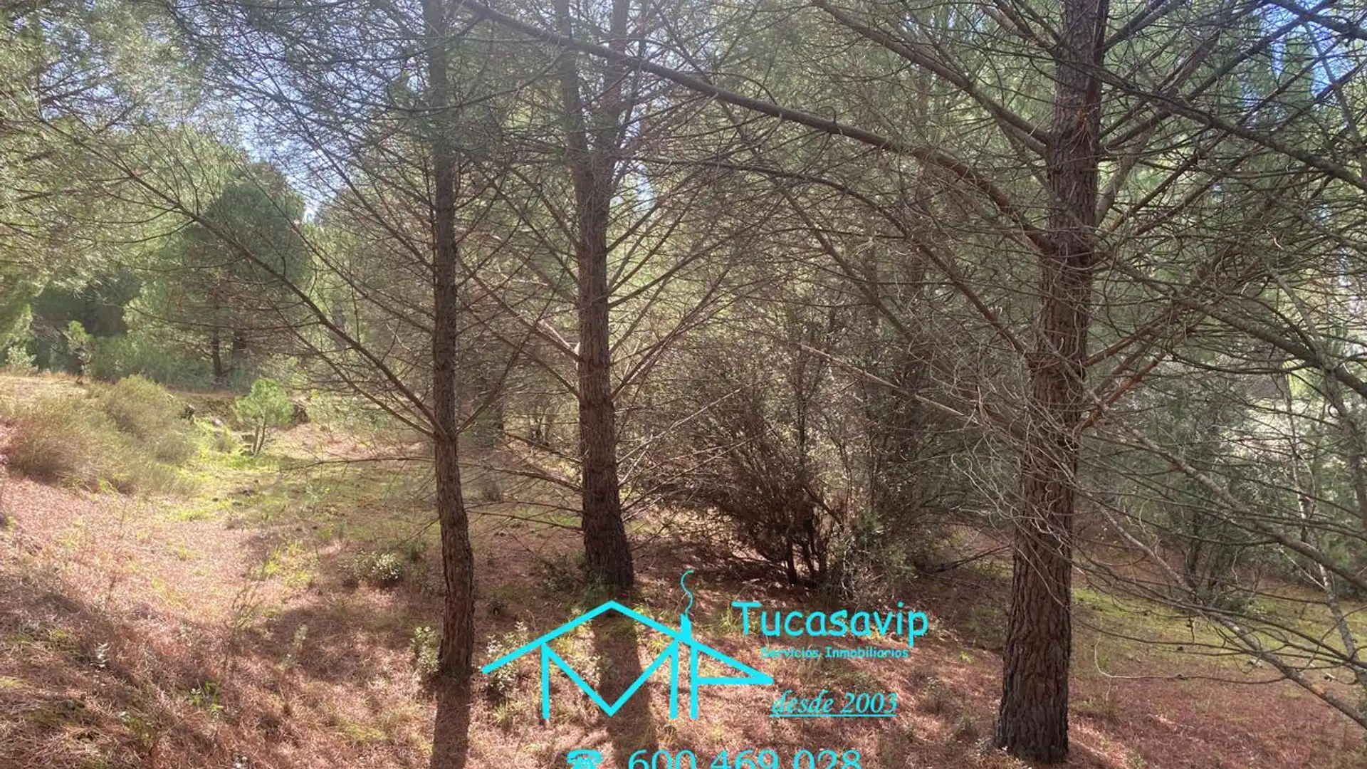 Terreno en venta en Cebreros