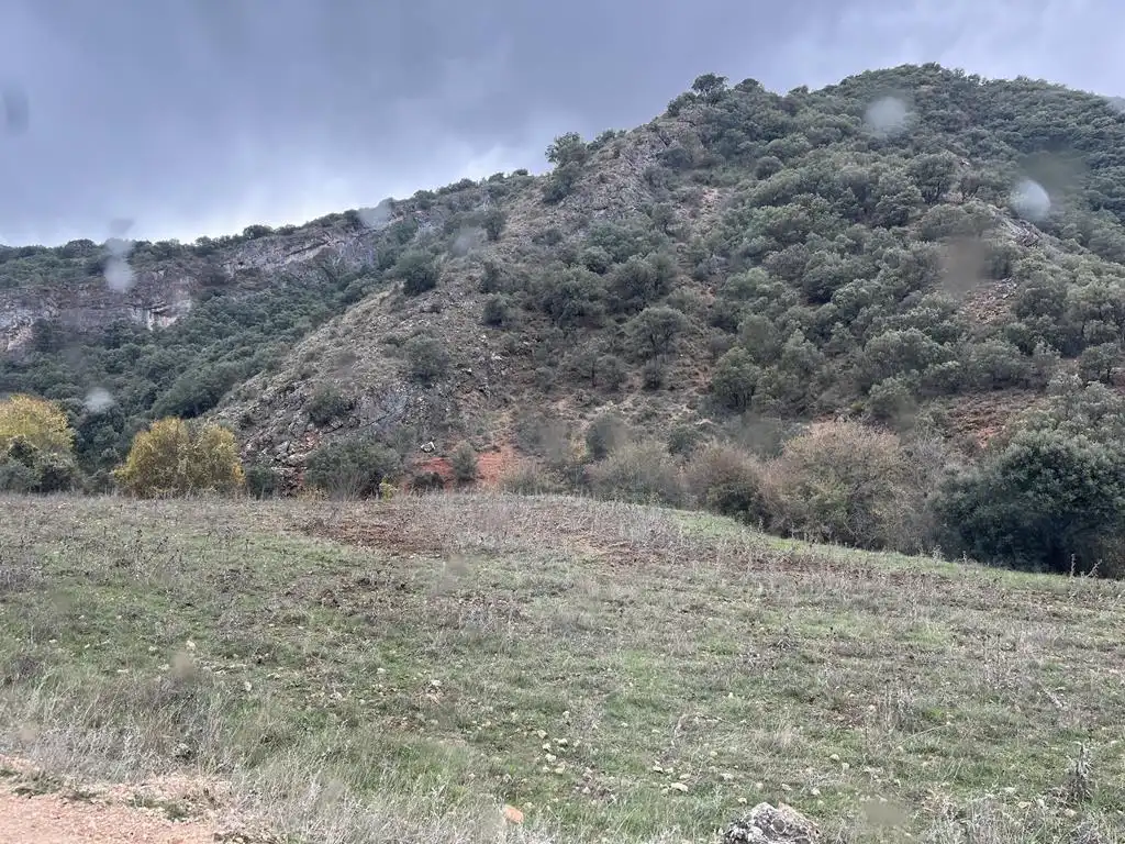 Terreno en venta en Vianos
