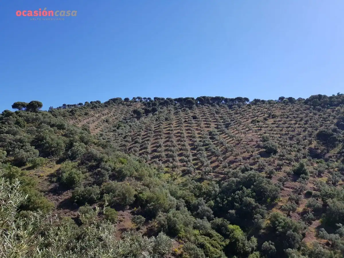 Finca rústica en venta en Villanueva de Córdoba con Jardín privado, Trastero y Amueblado