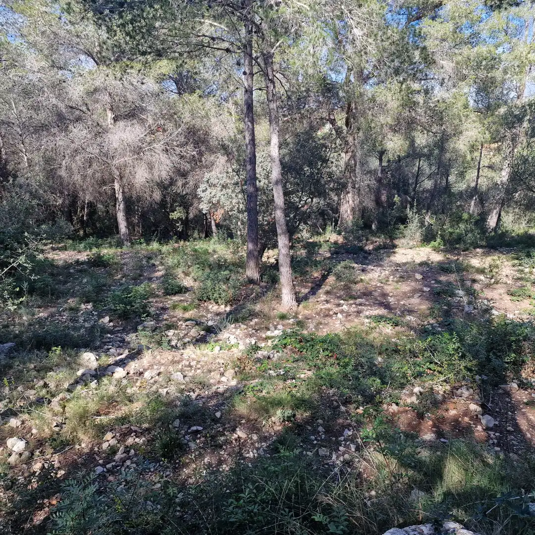 Terreno residencial en venta en Carrer Gessamí 18, imagen 27