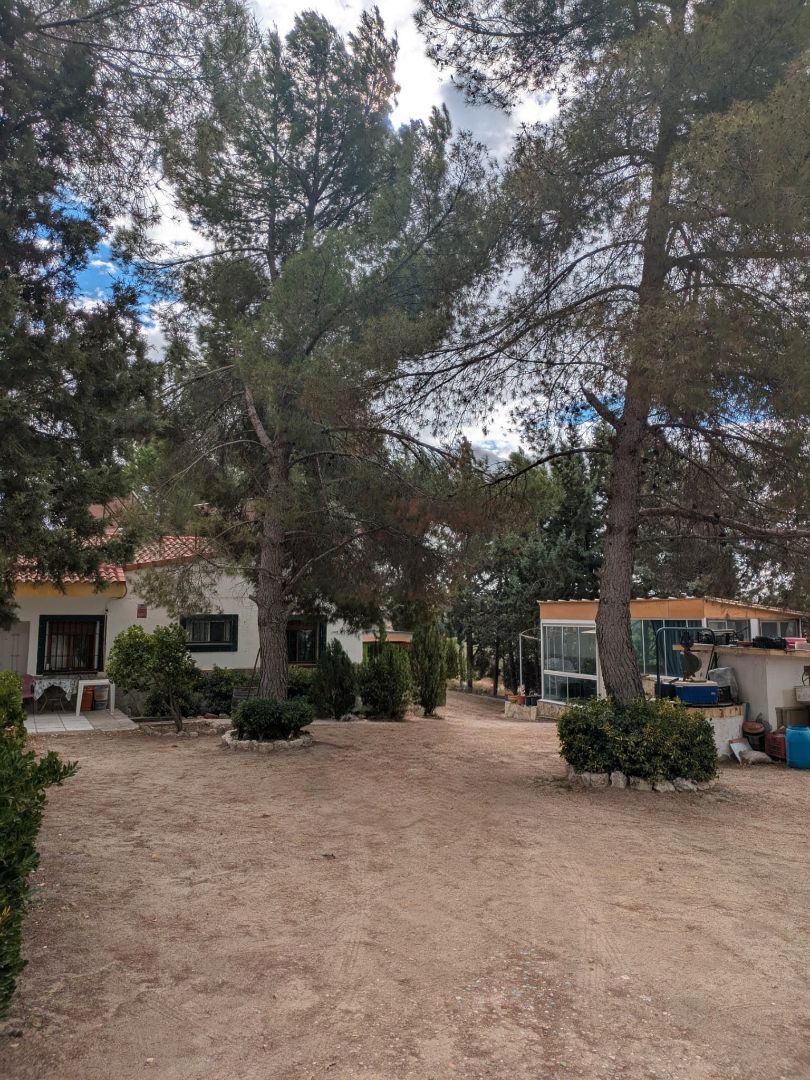 Exterior view of House or chalet for sale in Morata de Tajuña  with Private garden, Terrace and Swimming Pool