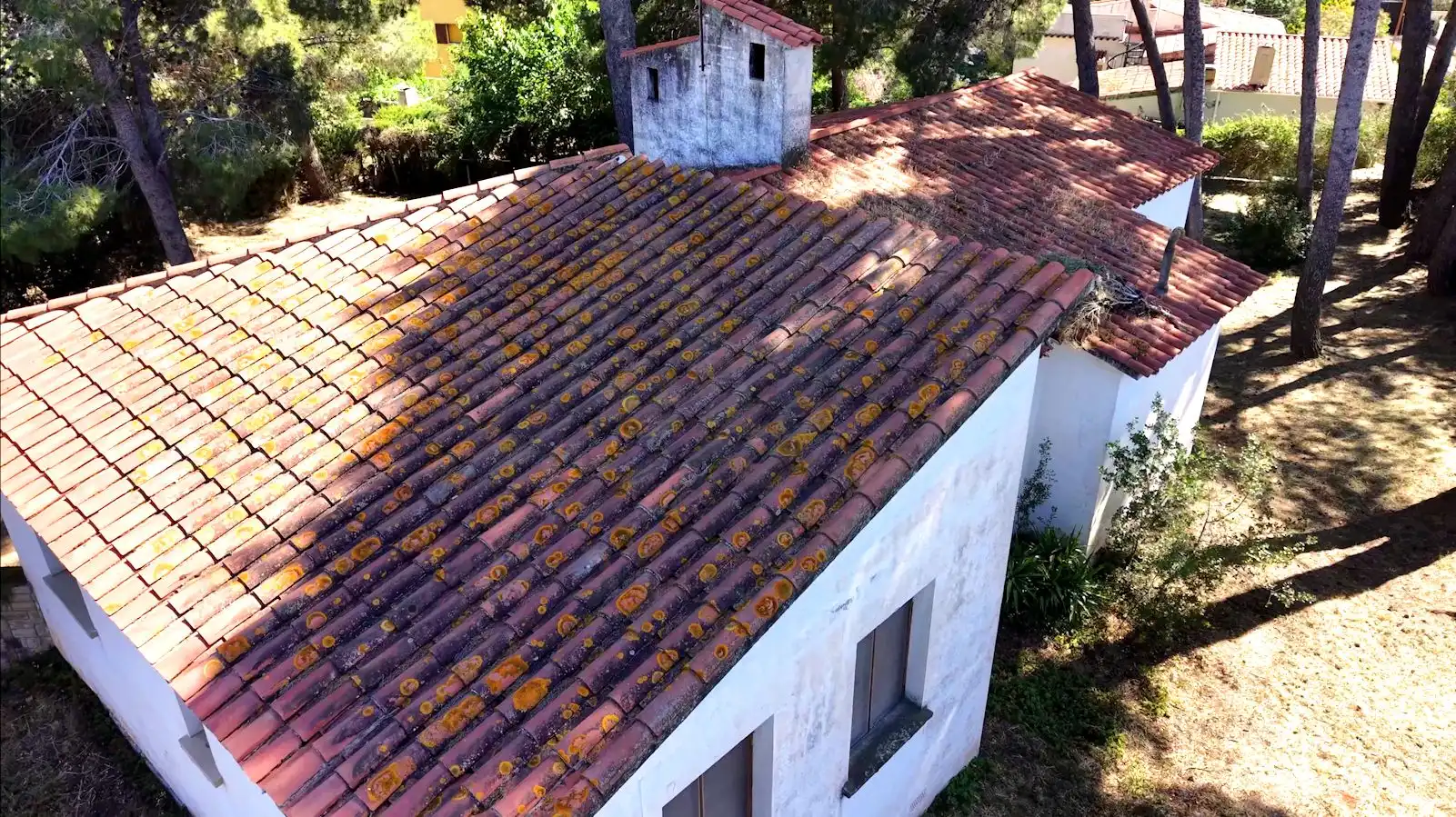 Vista exterior de Finca rústica en venda en Alcover amb Terrassa