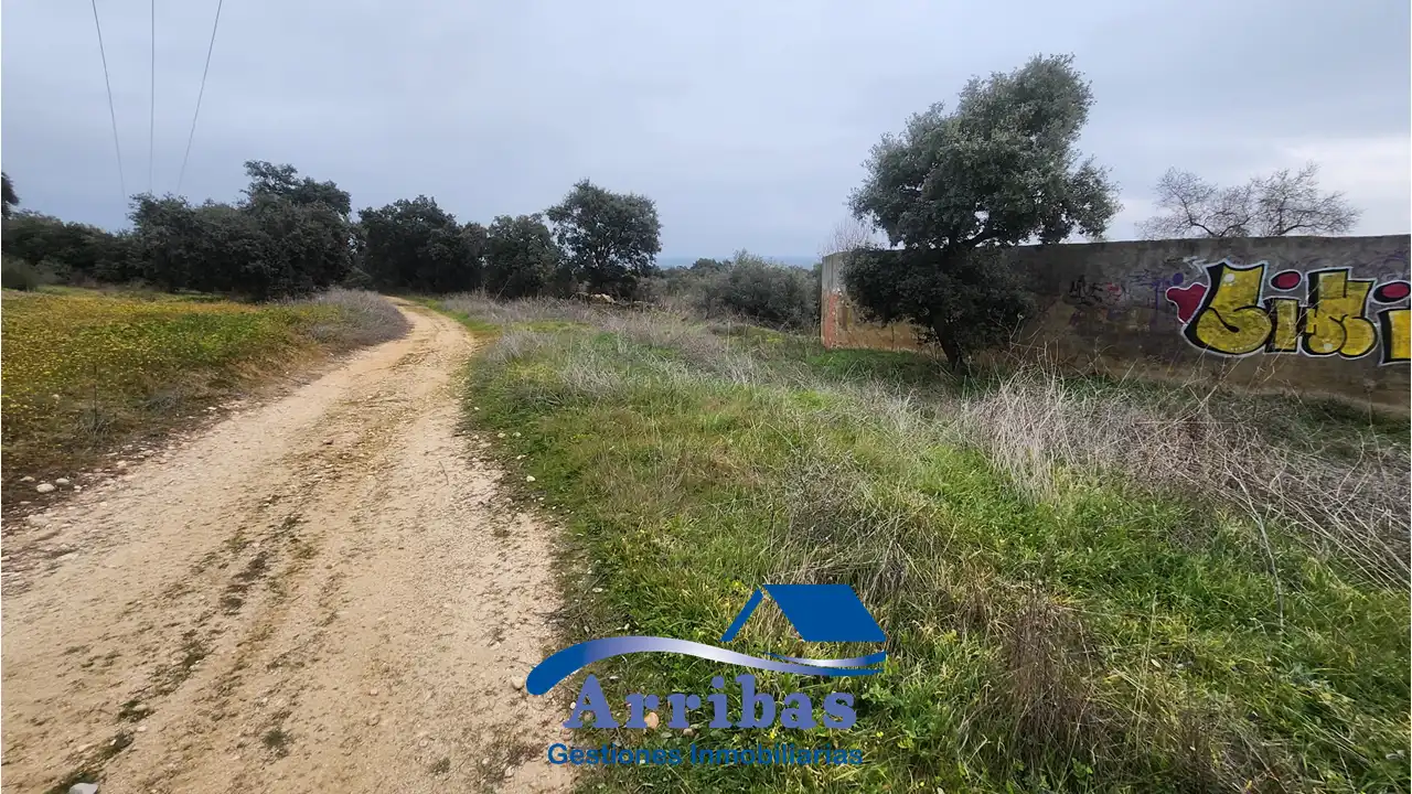 Country homes for sale in Escalona