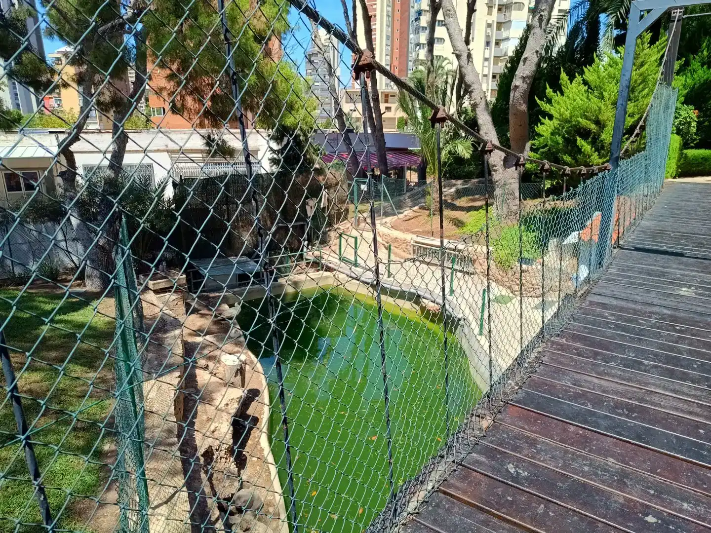 Garten von Wohnungen zur Miete in Benidorm mit Klimaanlage, Schwimmbad und Balkon