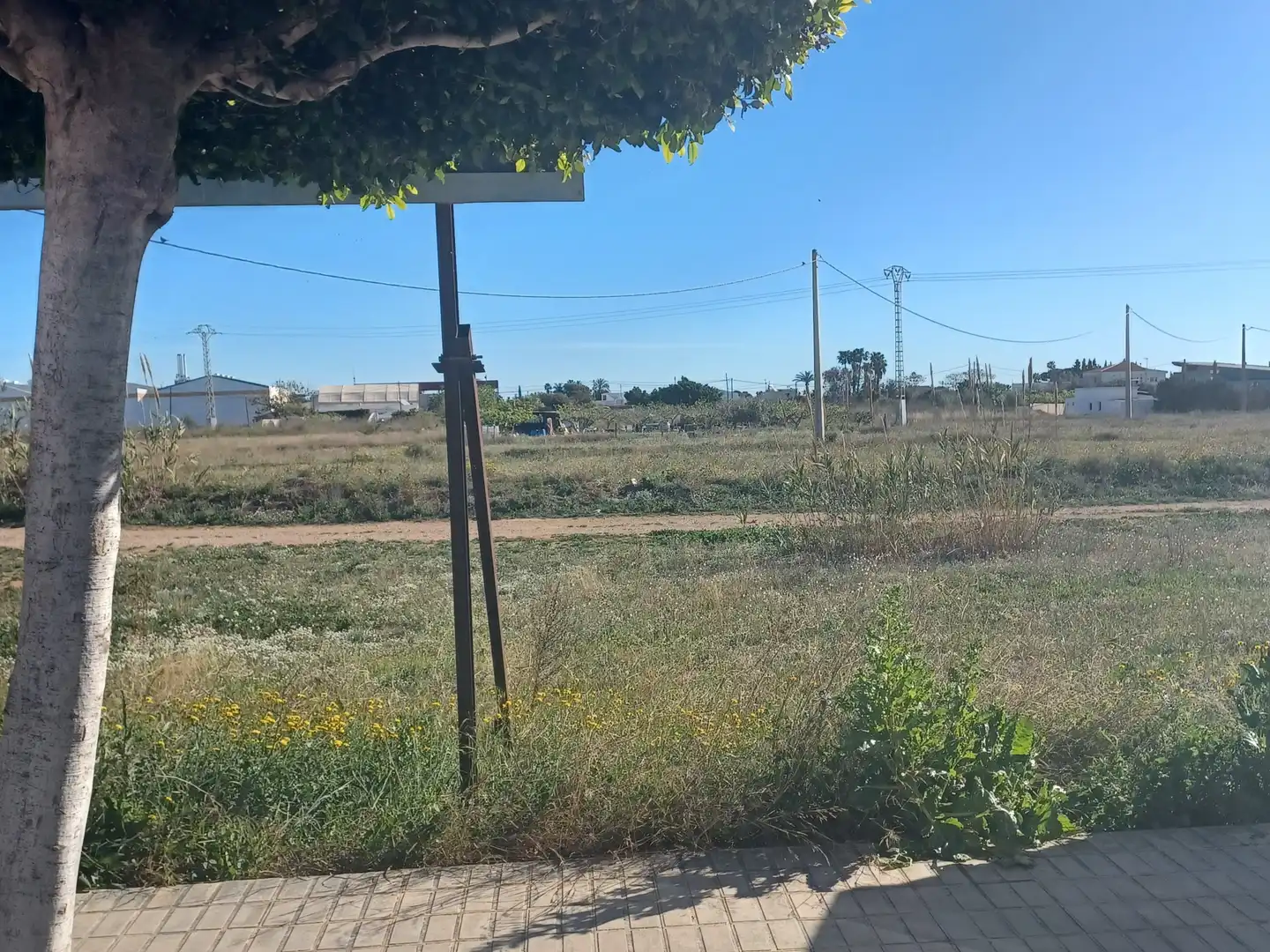 Terreno rústico en venta en C/ Rey Alfonso XIII, imagen 6