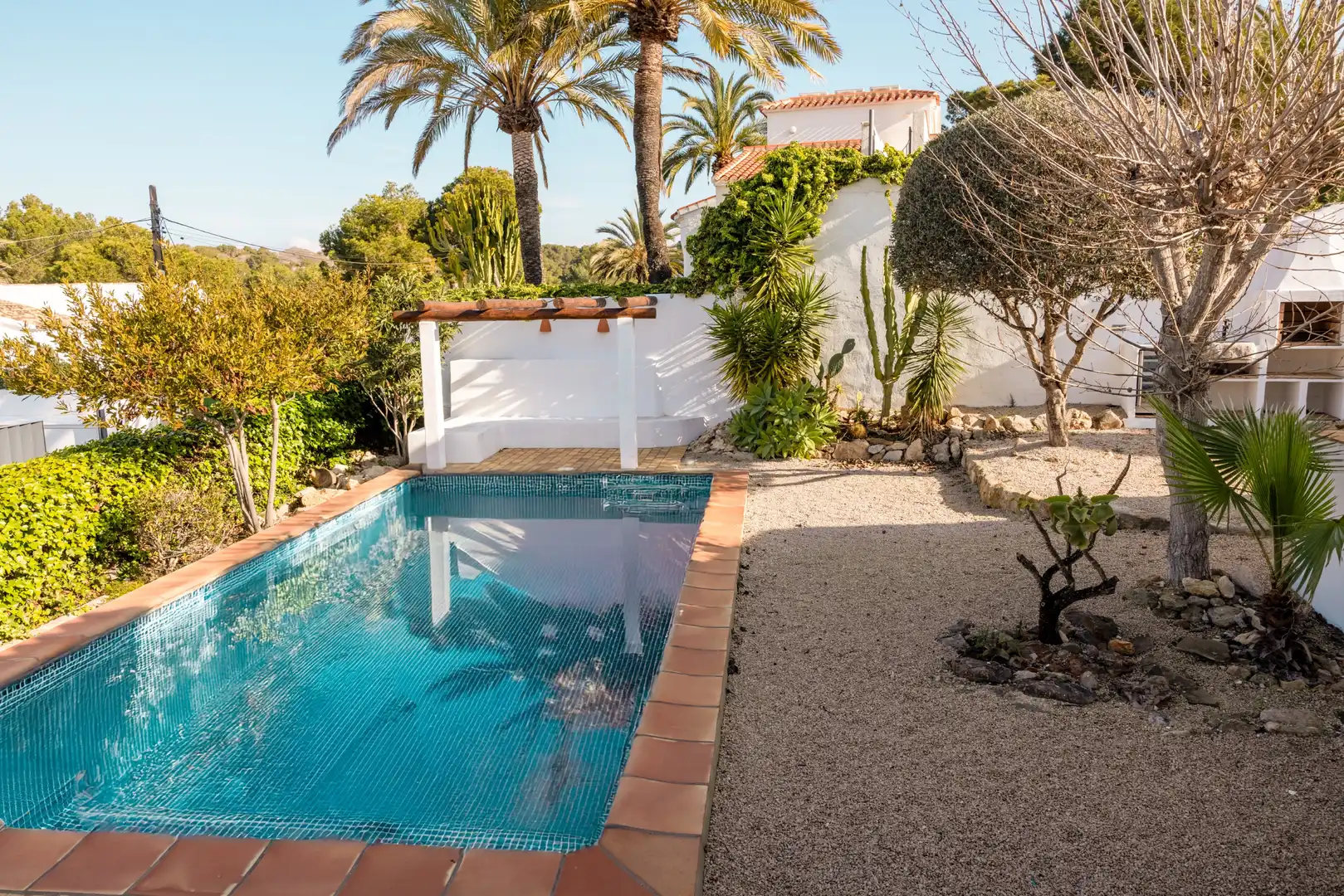 Piscina de Casa o xalet en venda en Cap Martí - El Tossalet - Pinomar