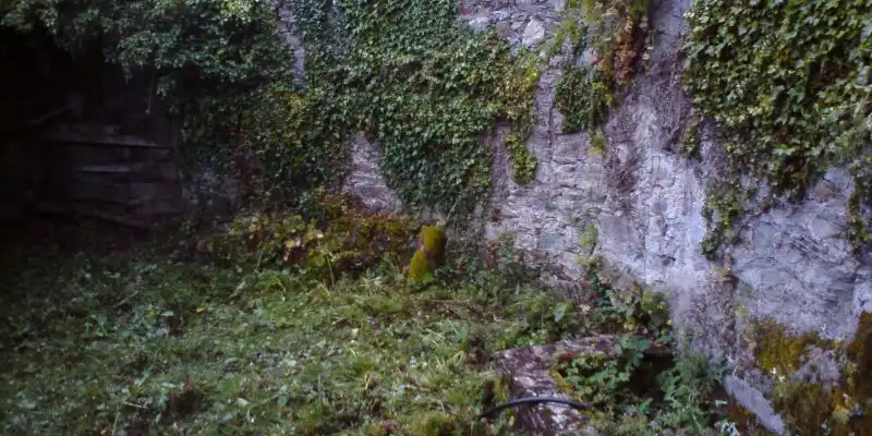 Jardín de Finca rústica en venta en As Nogais 