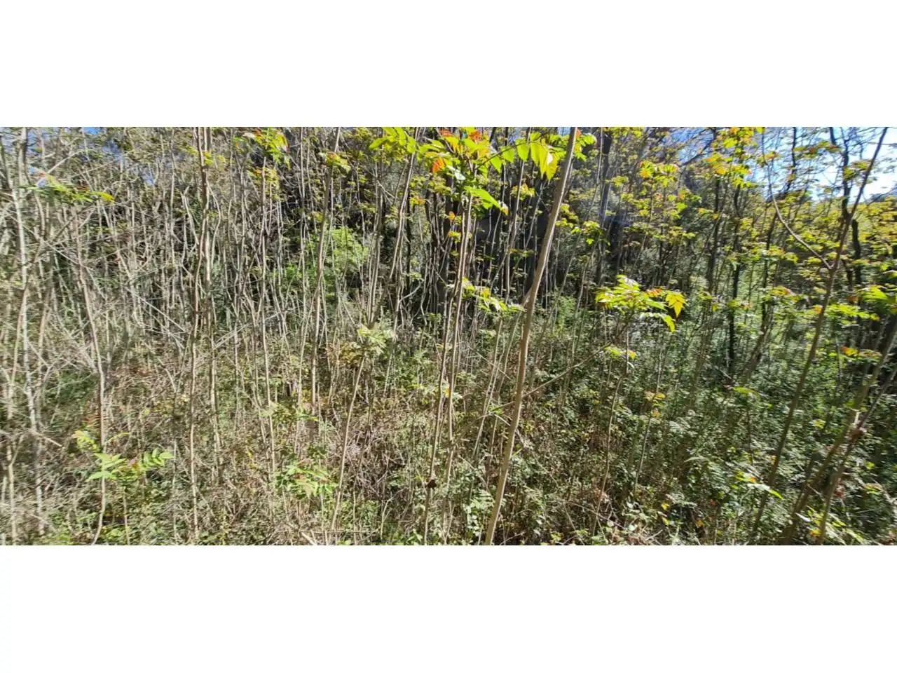 Rural land for sale in Lliçà d'Amunt, imagen 28