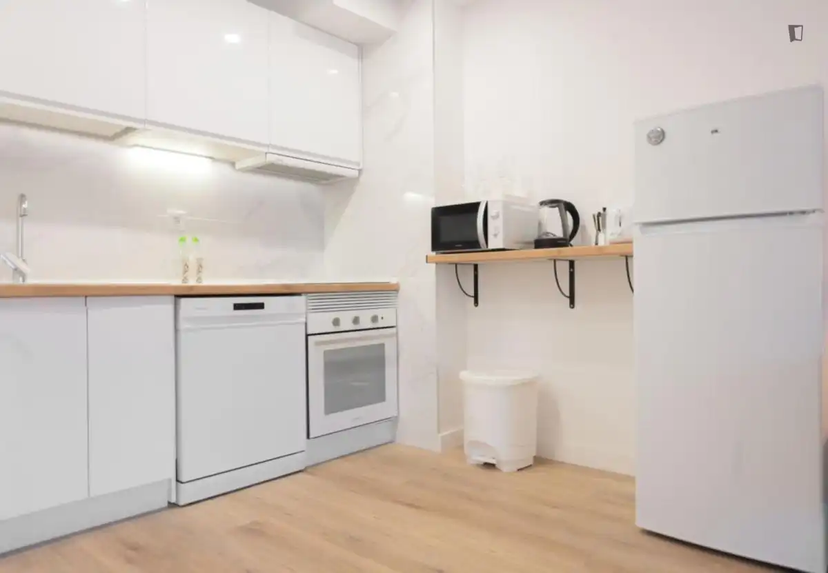 Kitchen of Apartments for rent in Madrid  with Air Conditioner, Furnished and Oven