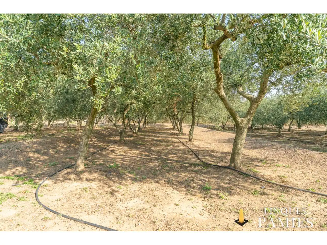 Finca rústica en venta en Reus con Aire acondicionado, Calefacción y Jardín privado