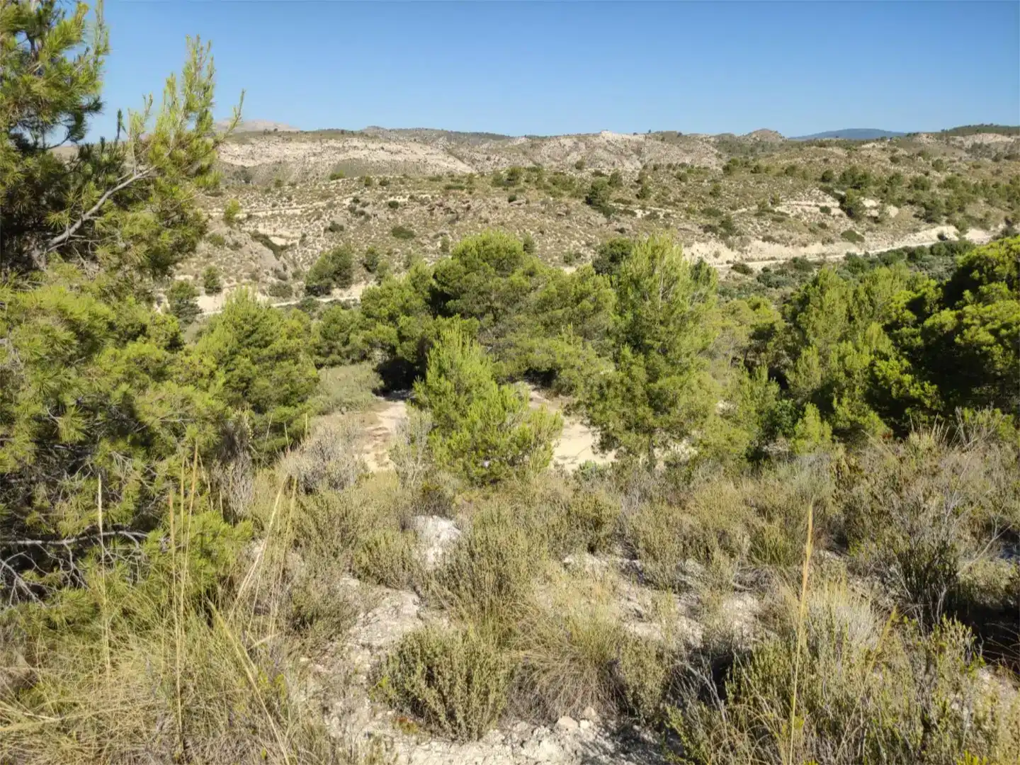Terreno en venta en Busot