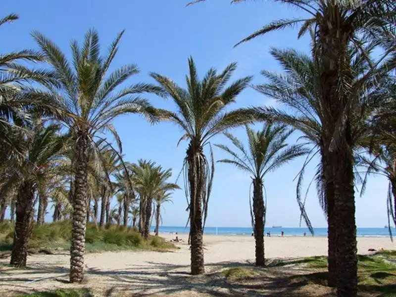 Außenansicht von Gebäude zur Miete in Castellón de la Plana / Castelló de la Plana