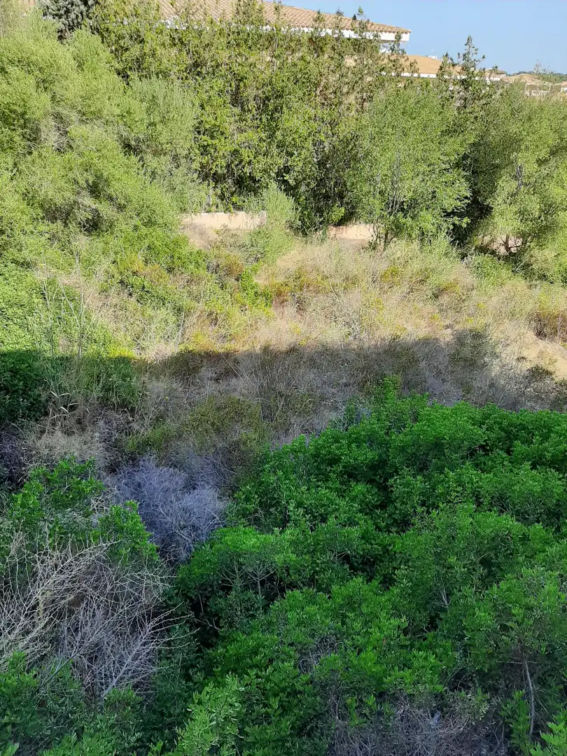 Residential land for sale in Carrer de la Punta Reina 57, imagen 4