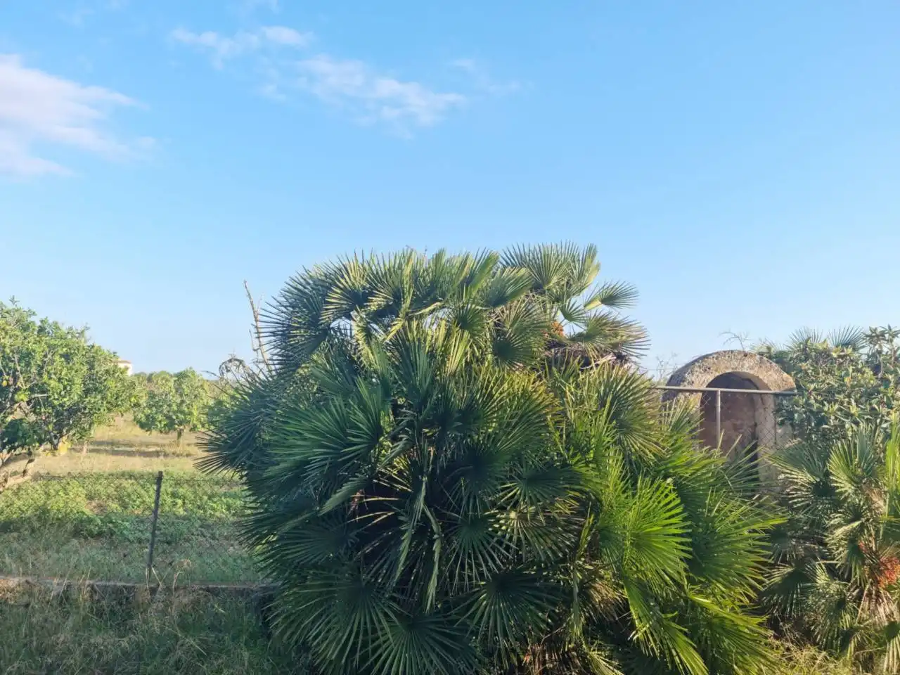 Casa amb jardí en venda a Sant Llorenç des Cardassar, imagen 5