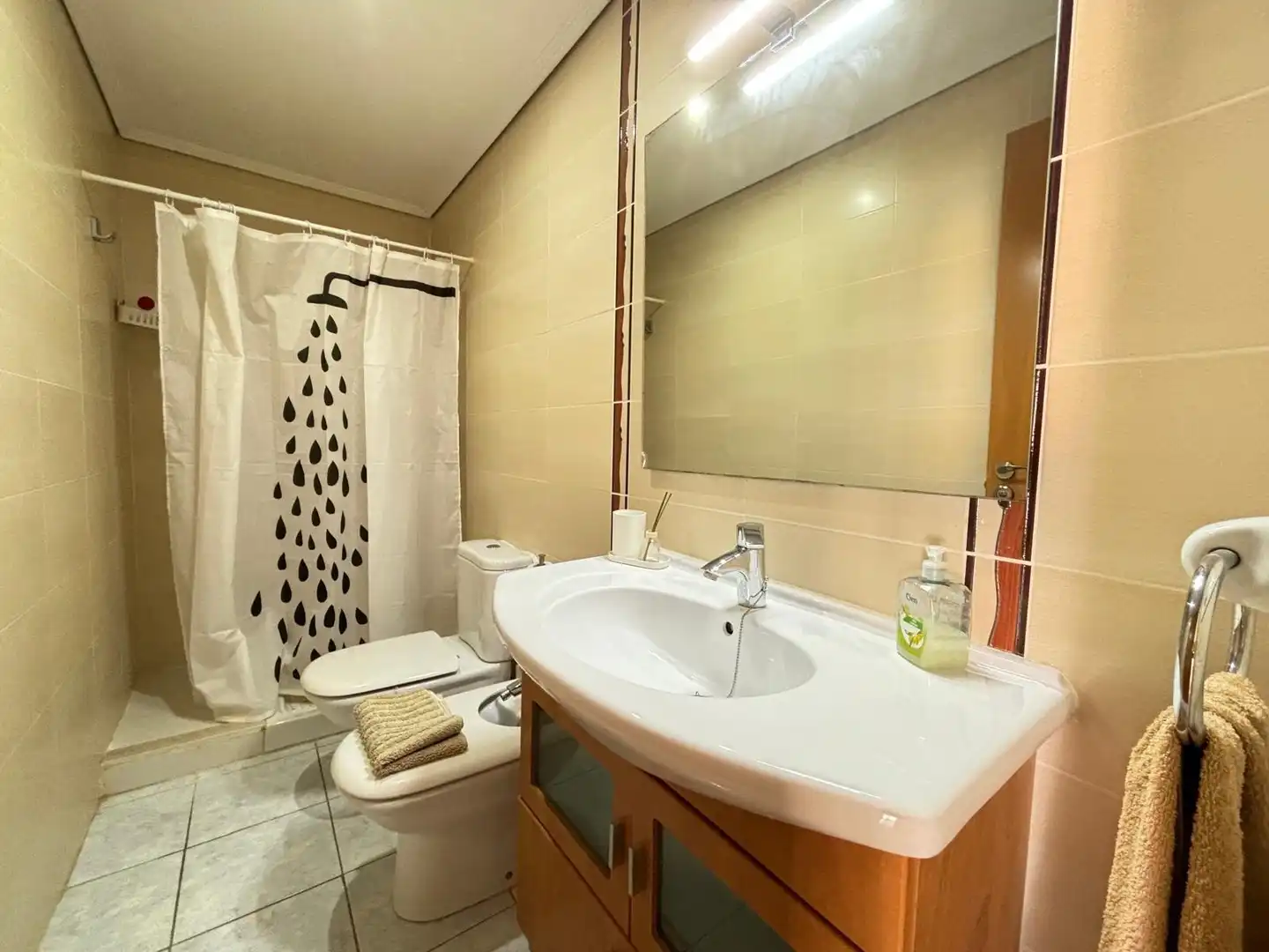 Bathroom of Apartments for rent in Chilches / Xilxes  with Terrace and Furnished