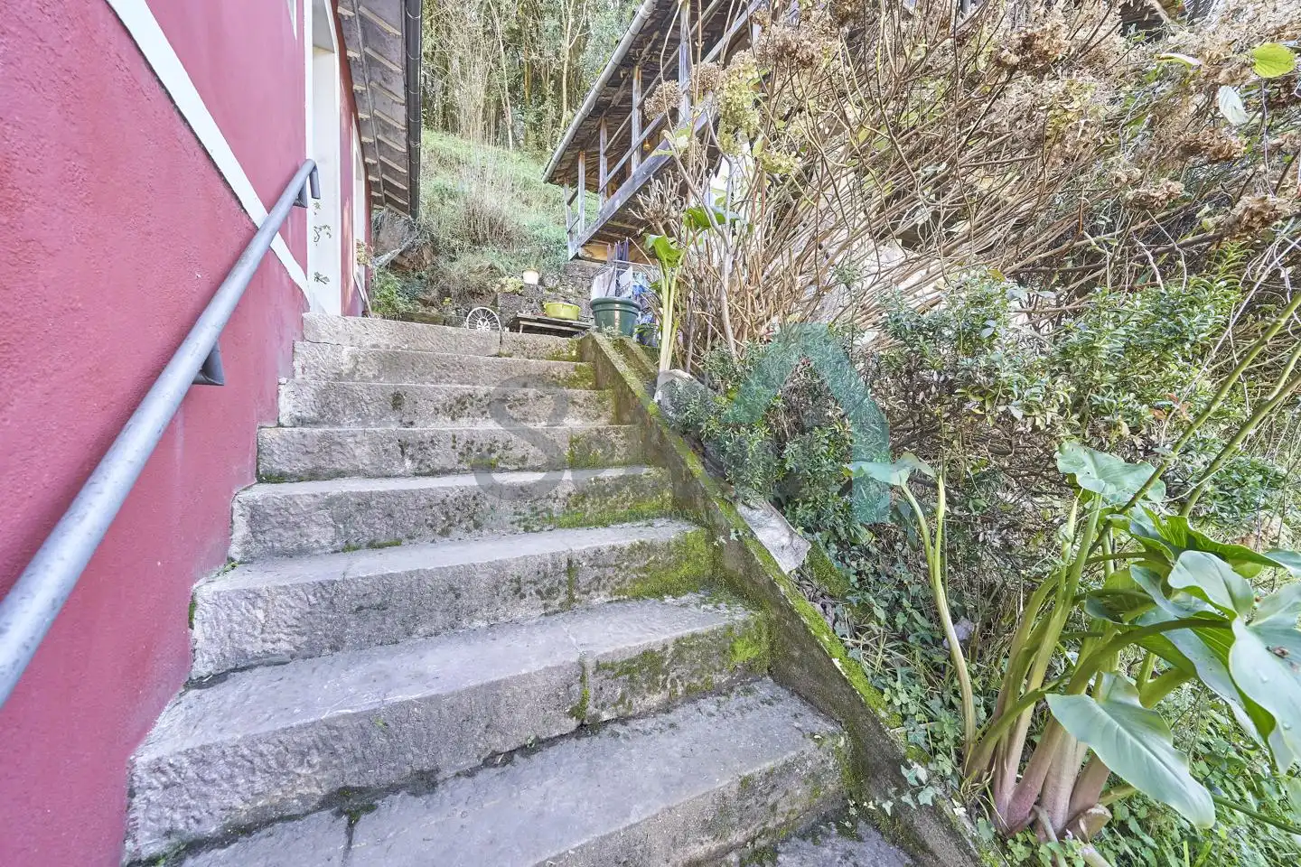 Vista exterior de Casa o chalet en venta en Belmonte de Miranda con Jardín privado, Parquet y Terraza