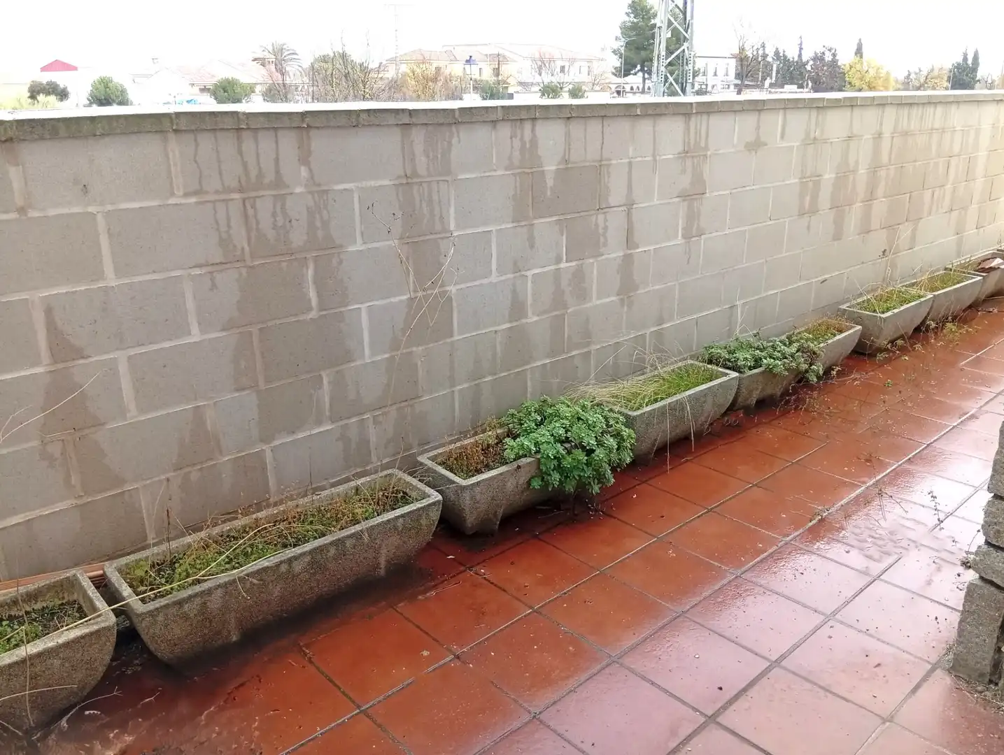 Casa o chalet en venta en Orgaz