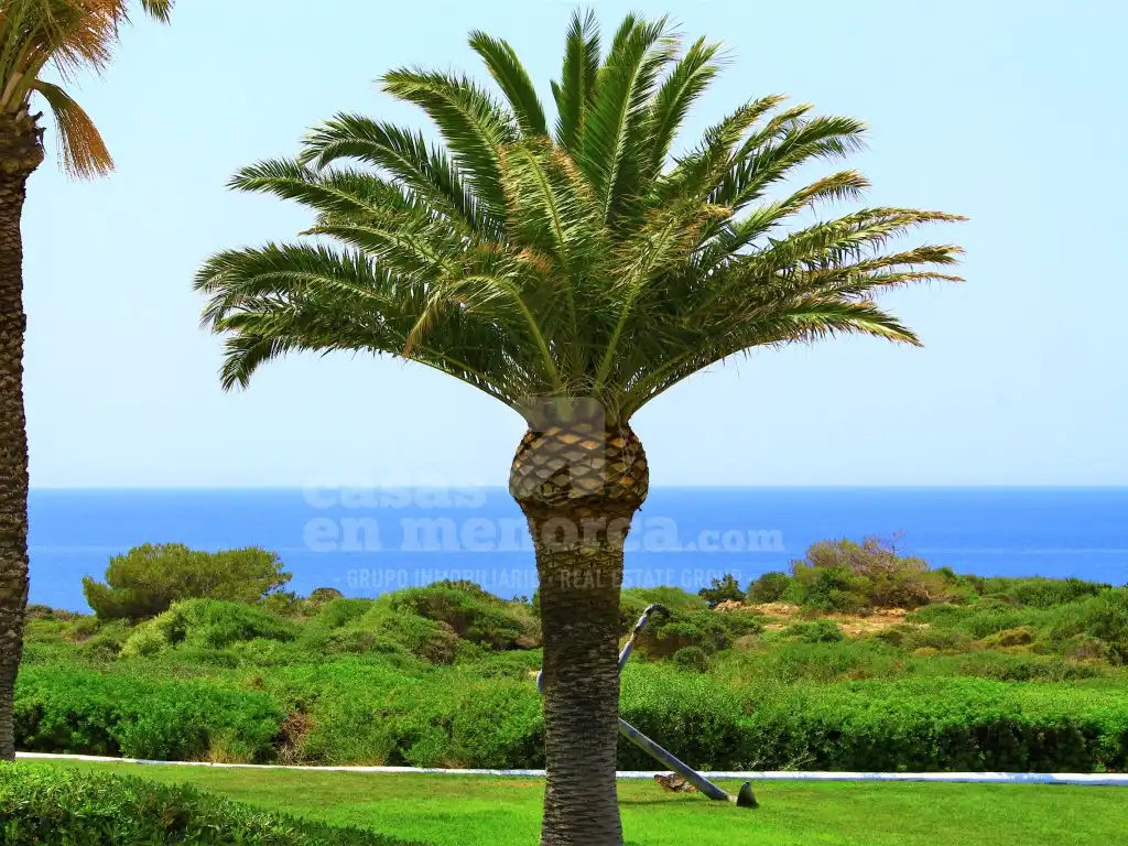 Maison avec piscine à vendre à Sant Climent - Es Canutells, imagen 40