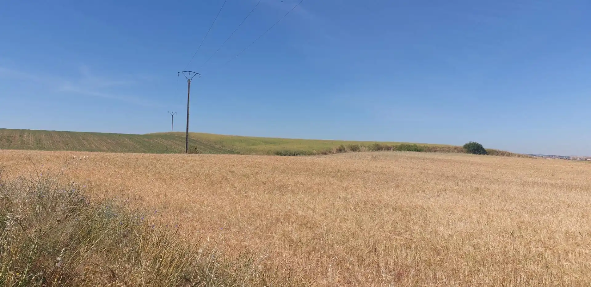 Rural land for sale in Villares de la Reina, imagen 2