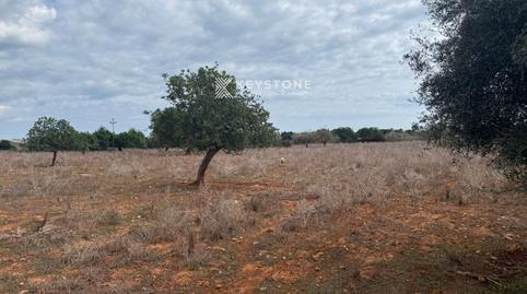 Photo 2 of Land for sale in N/a, Porto Cristo, Manacor